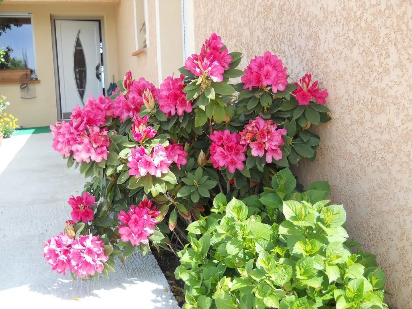 Le Clos des Malézolles