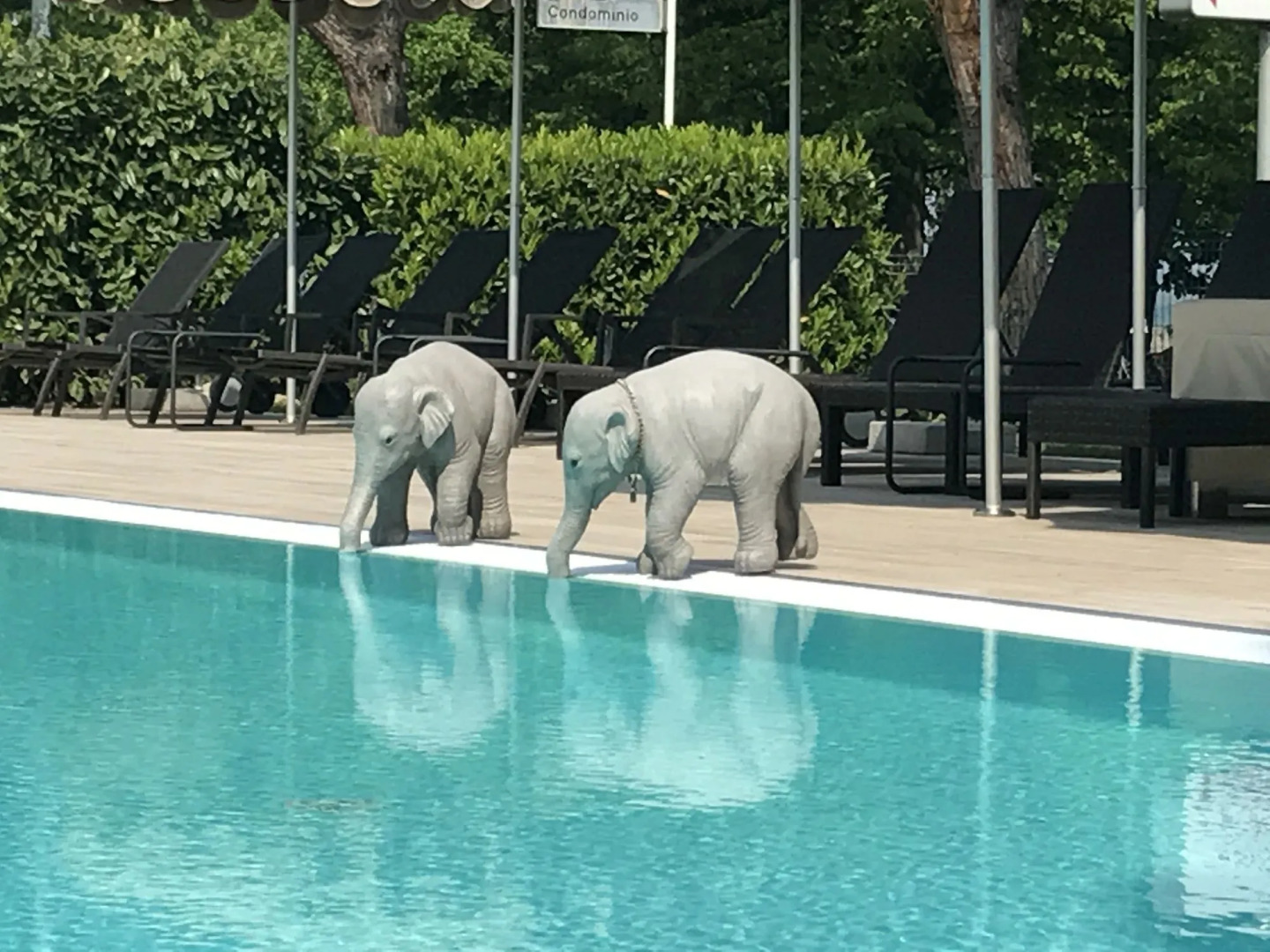 Alexandra Stay Residence