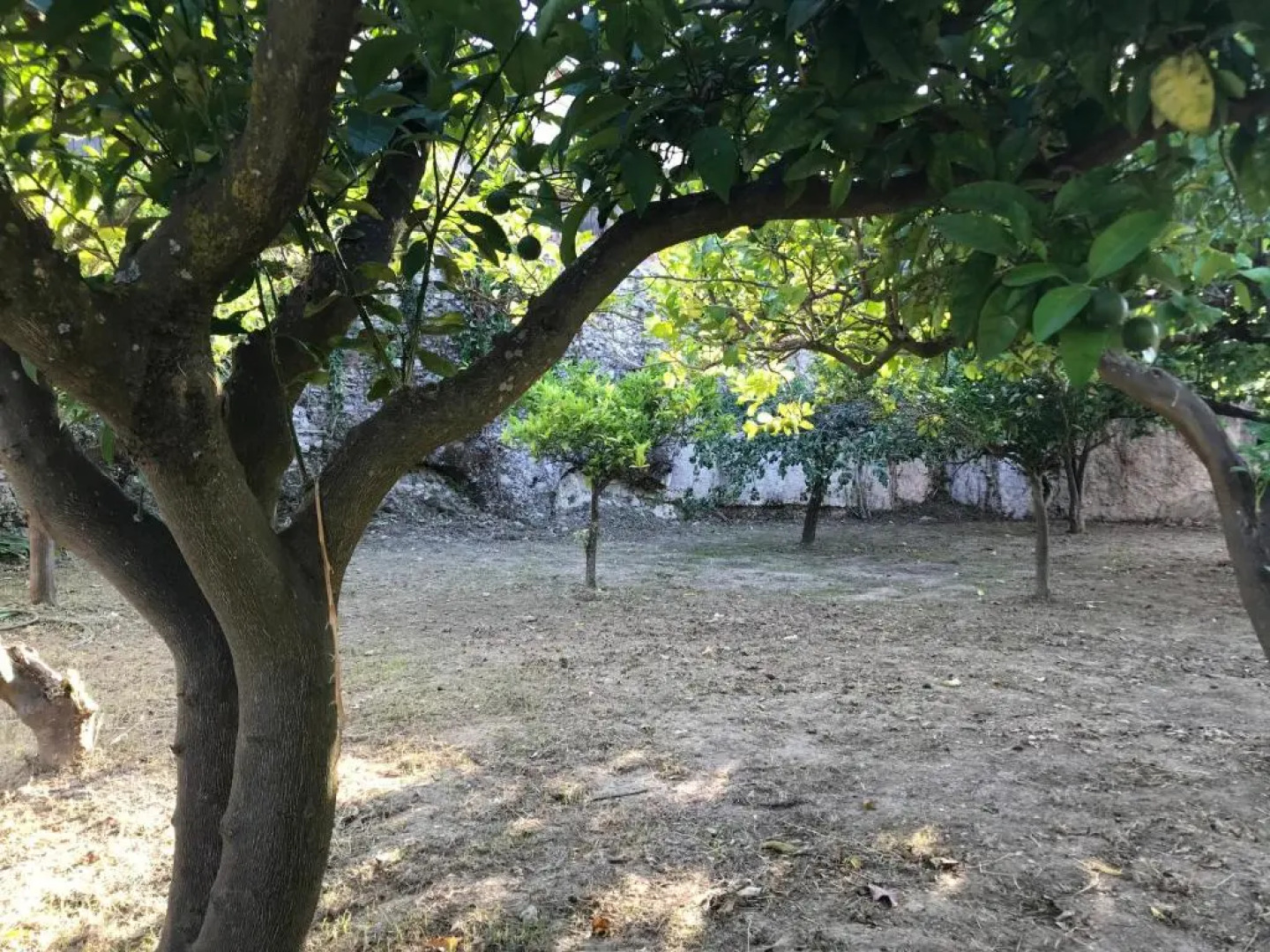 Residenza I principini