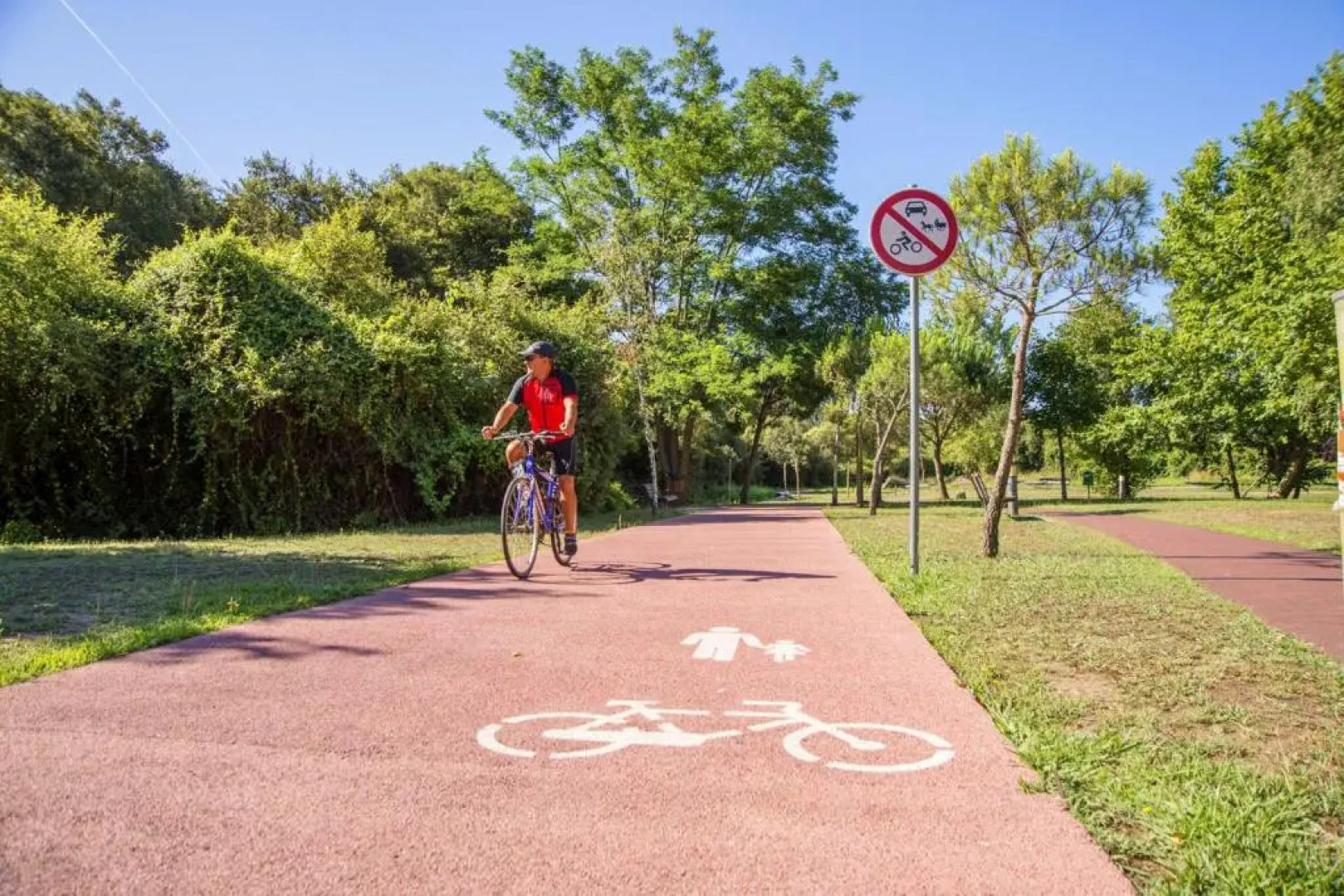 Casas da Loureira - Casa da Piscina e Batatas II