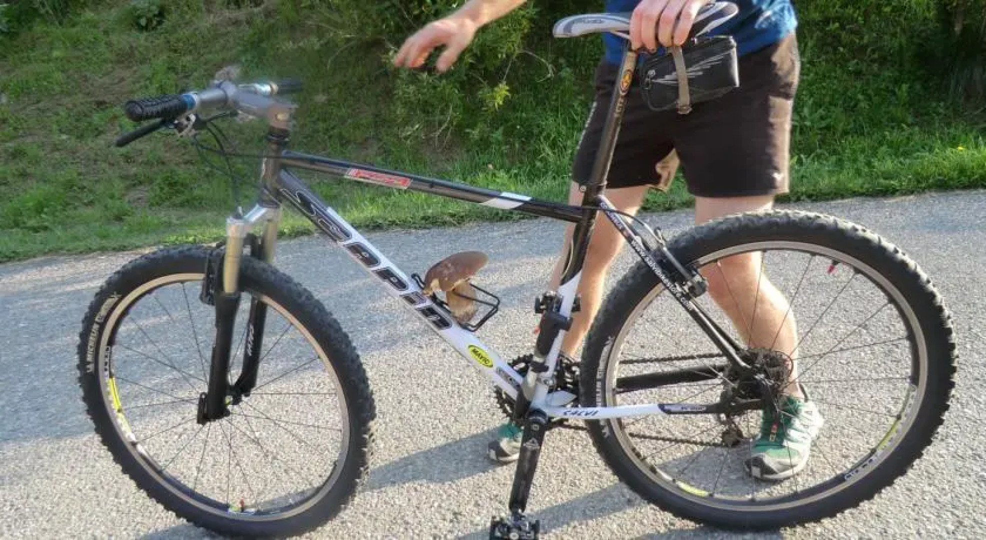 B&B La Casa Di Parpaet