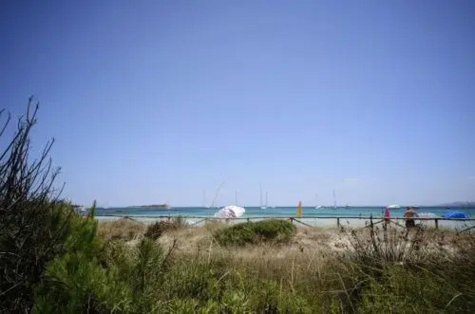 Porto Coda Cavallo Apartaments