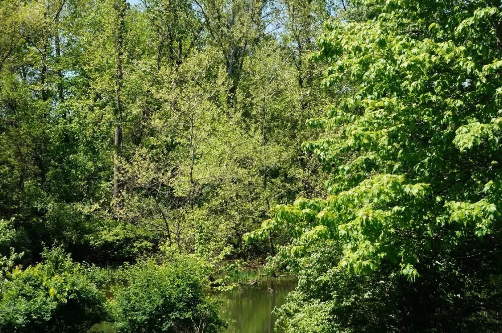 Best Western Executive Suites - Columbus East