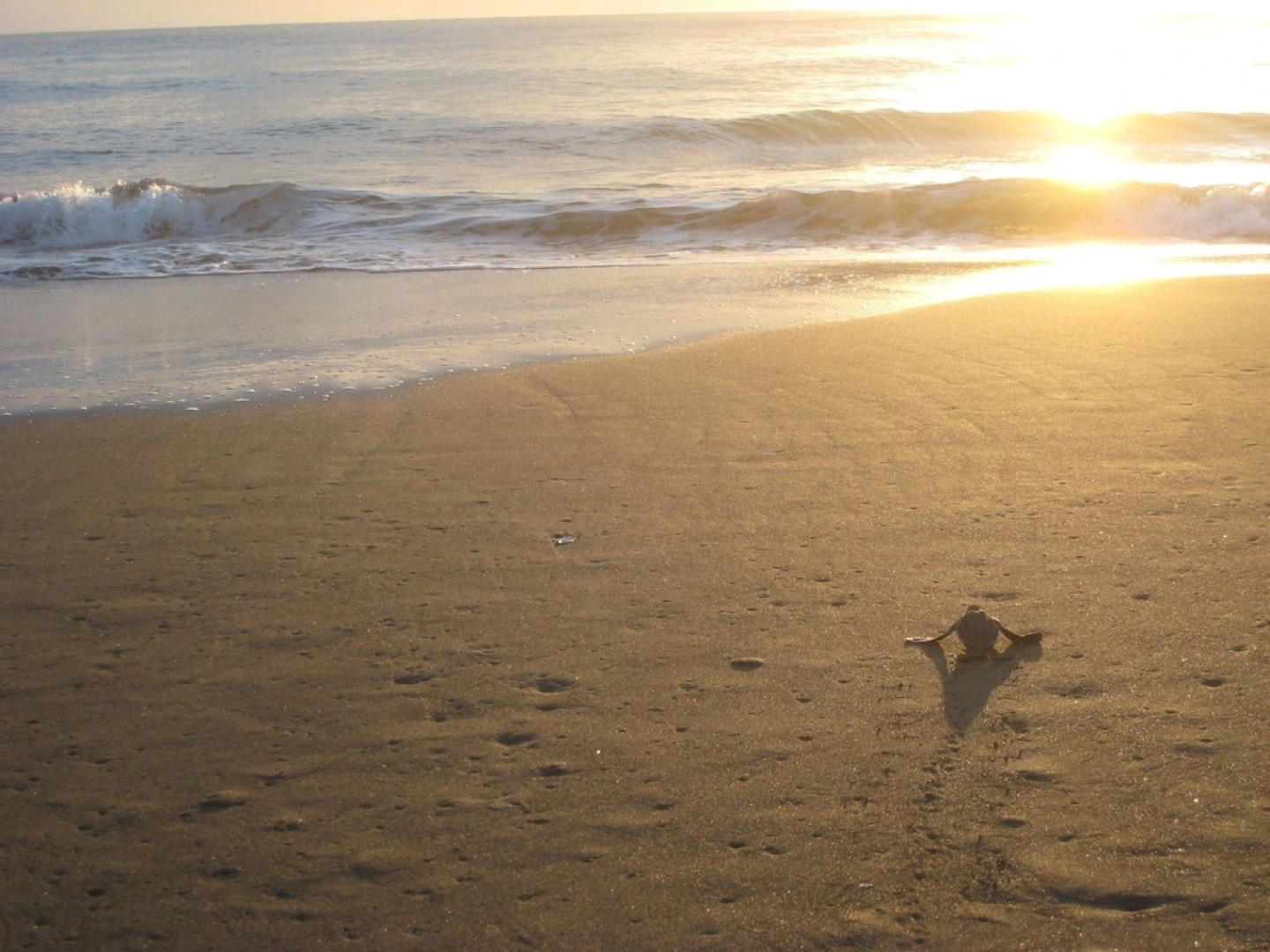 Casa Grande Ecolodge at Pacuare Reserve