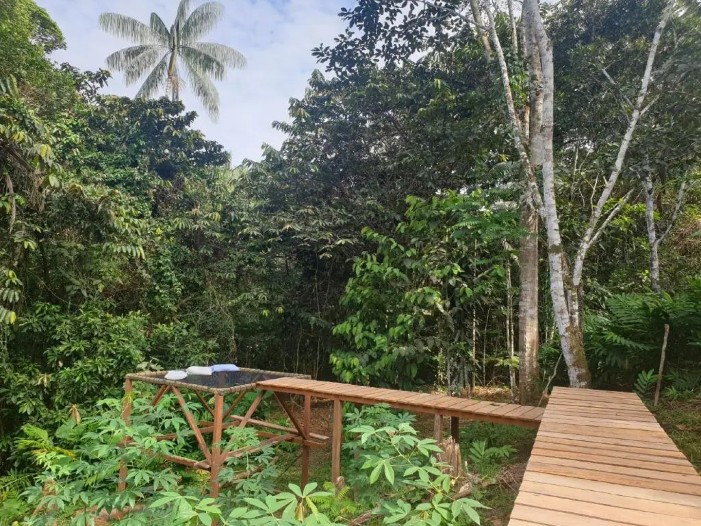 Reserva Natural Tucuchira