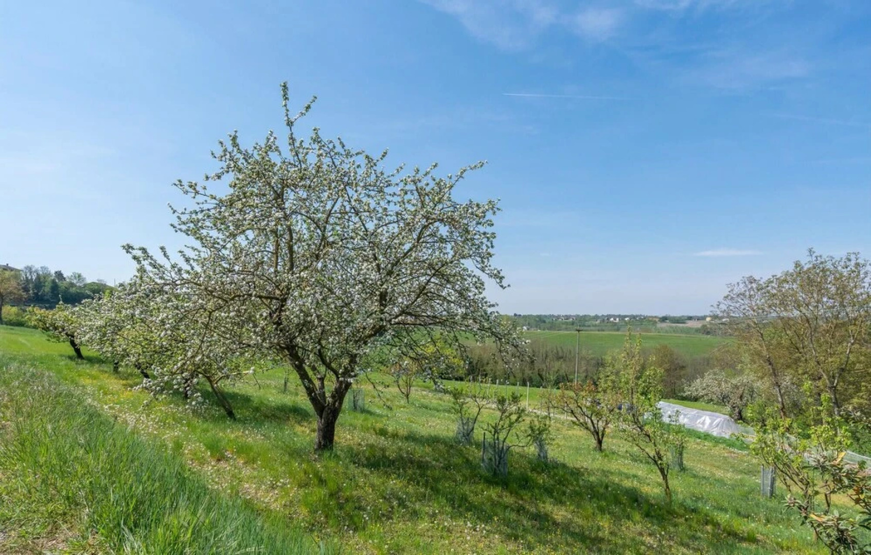 Amazing Home in Ferrere With Wifi and 1 Bedrooms