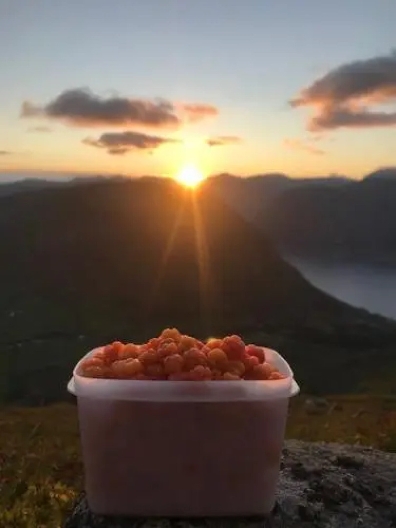 Kjøsnes Feriehytter