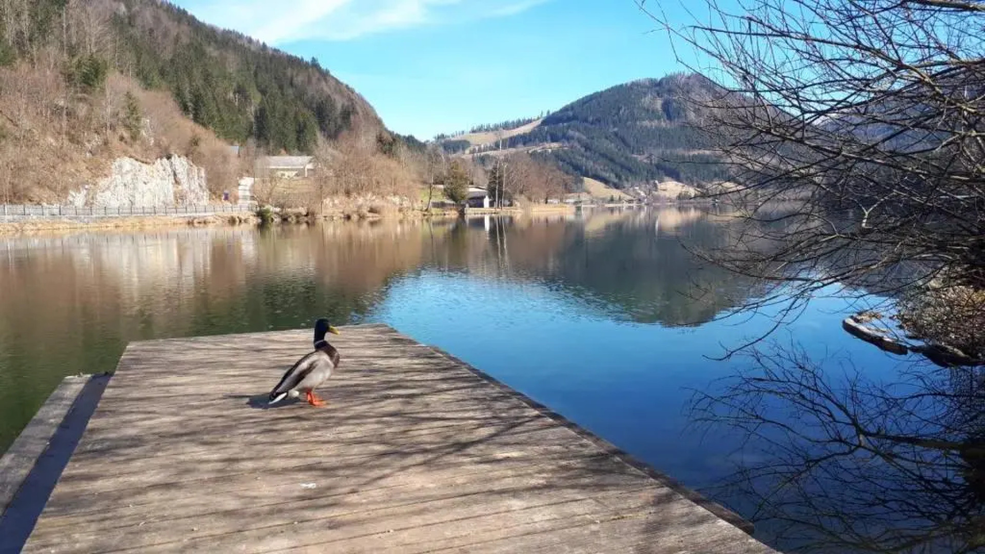 Holiday House Promenade