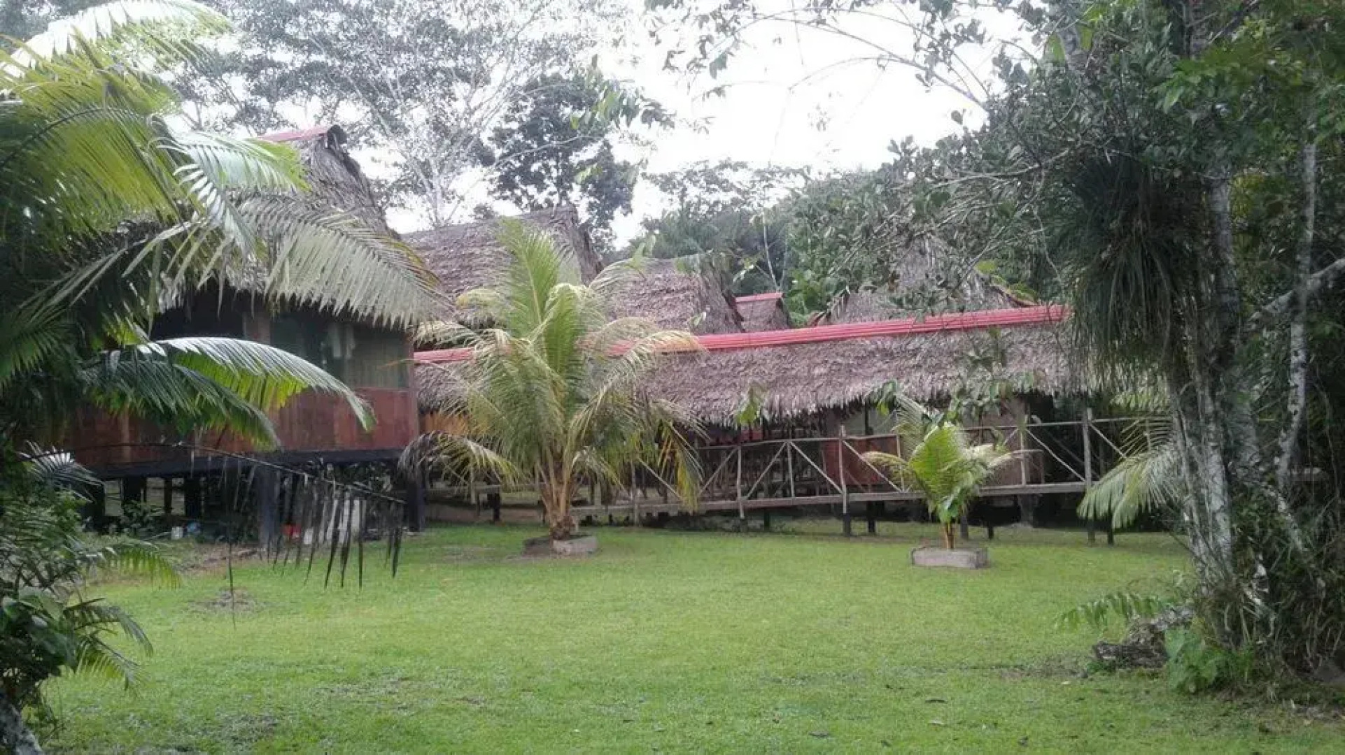 Tropical Adventures & Expeditions