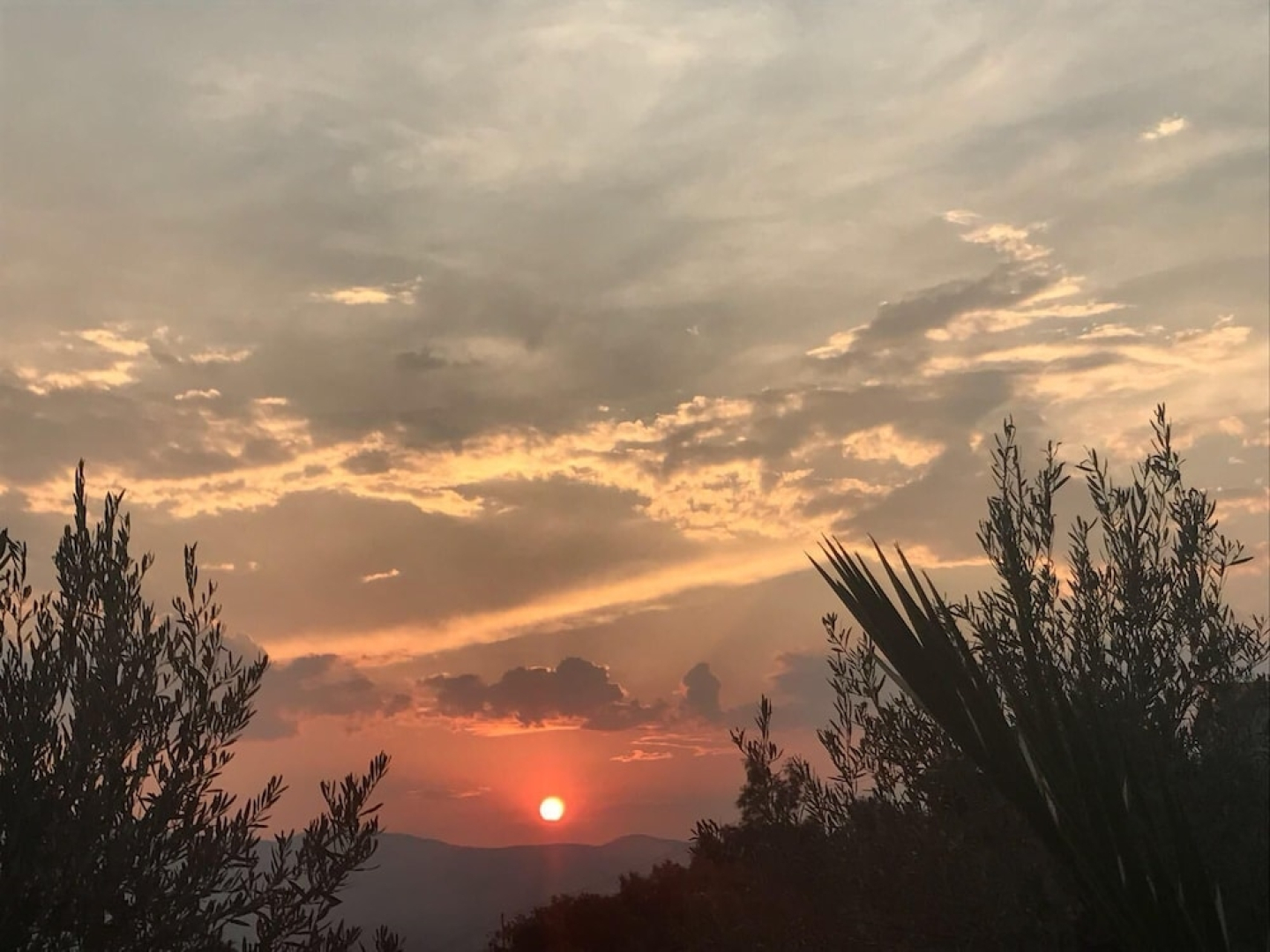 Agriturismo Pingitore