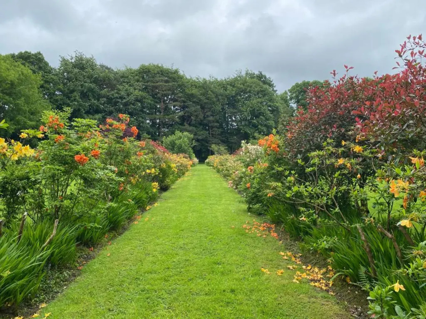 The Garth Guest Suite Studio Cottage