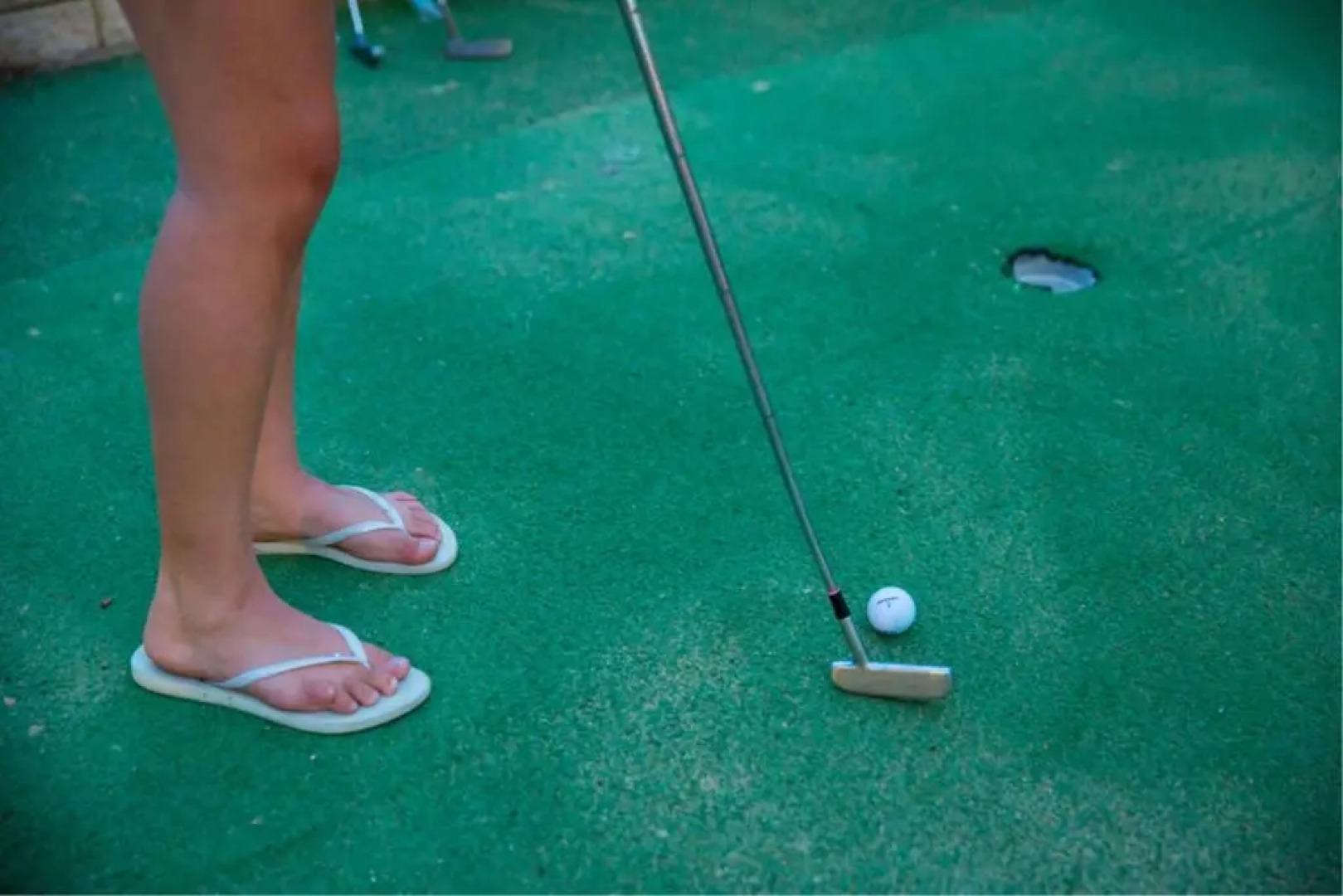 All Seasons Holiday Park