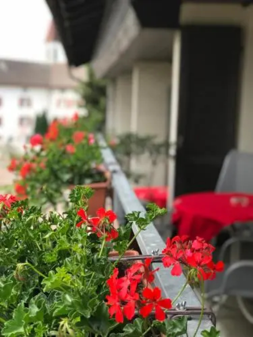 Bed and Breakfast Krone
