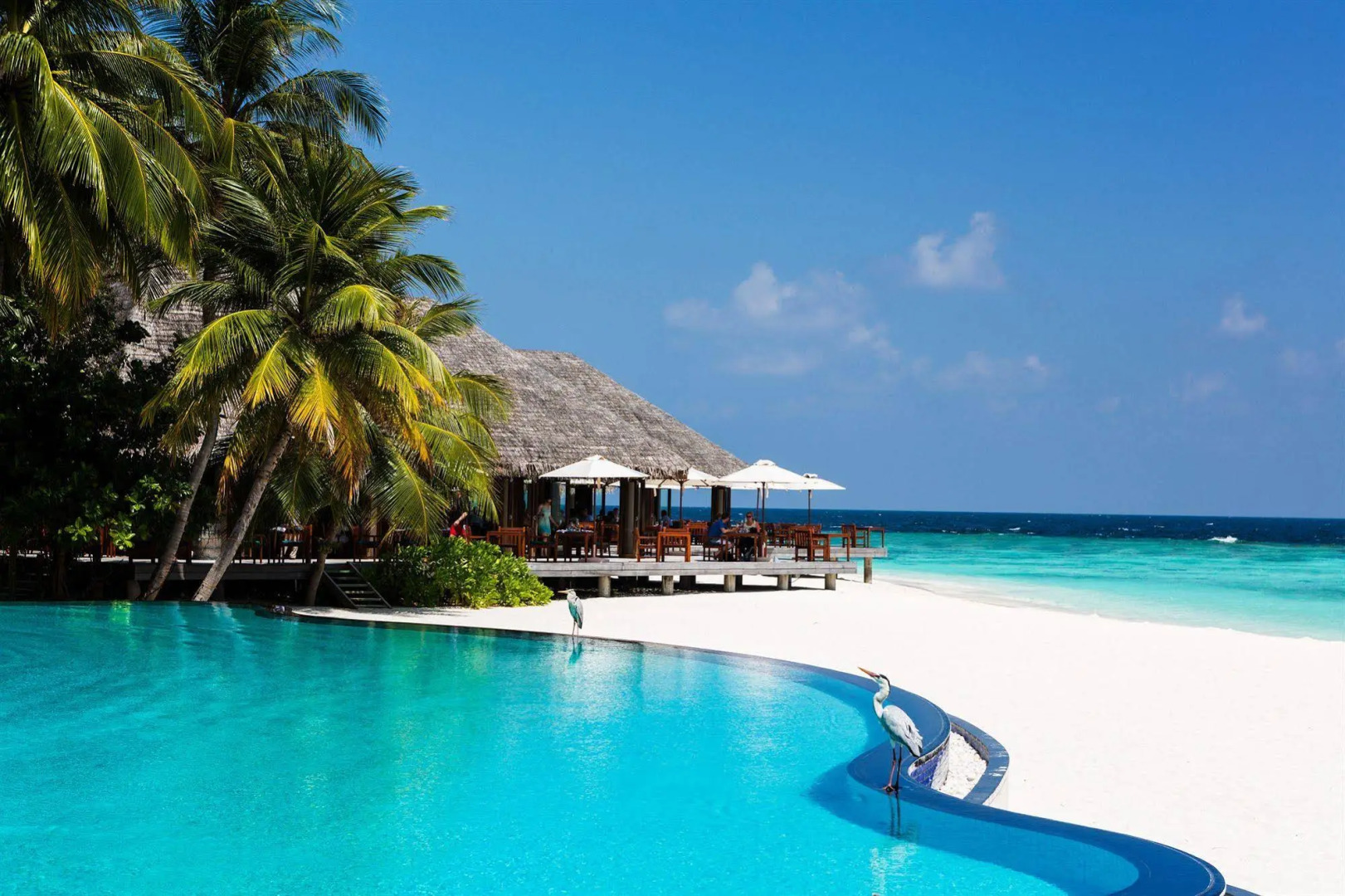 Курорт Veligandu Maldives Resort Island