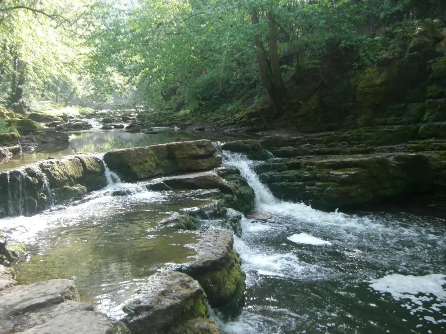 Landhaus Ferienwohnung Erika