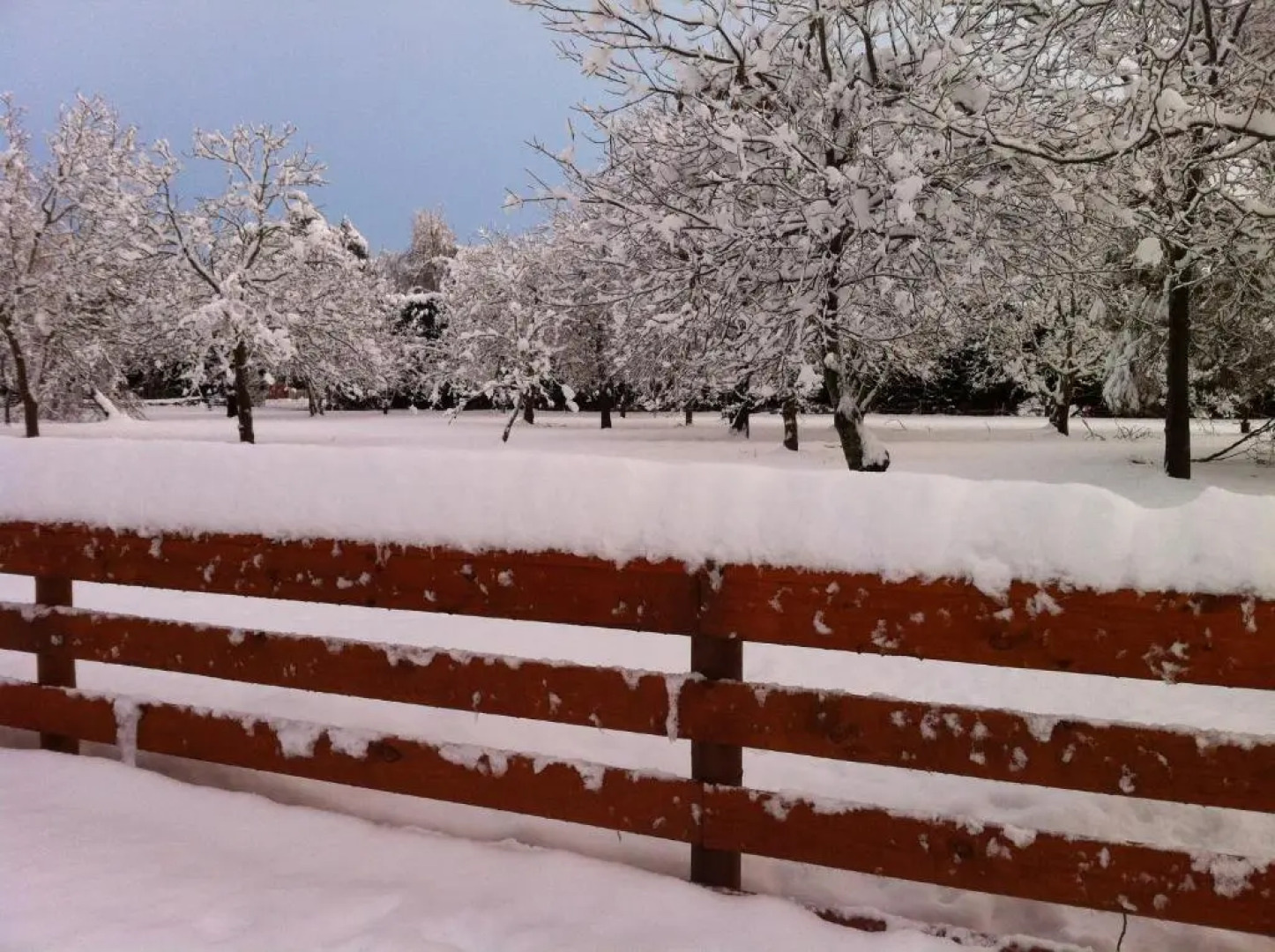 The Studio at Northfield