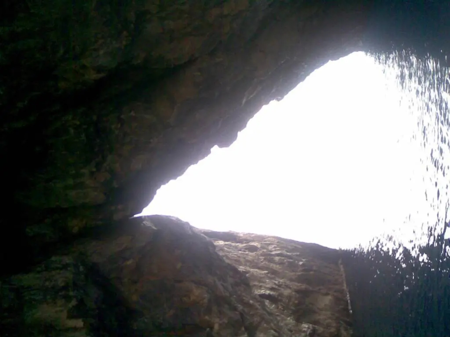 La Macchia Mediterranea