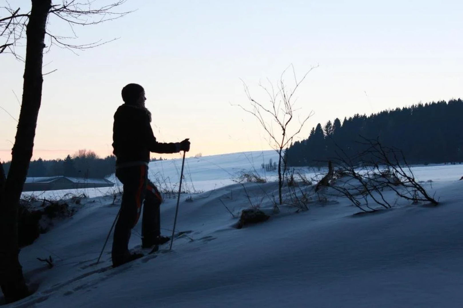 Restaurant Pension Seewolf