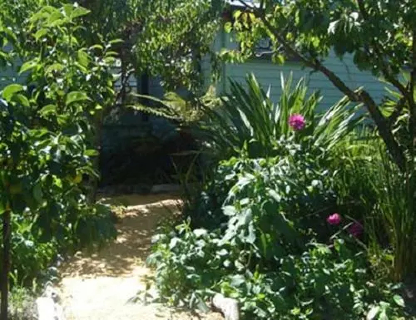 Rowan Cottage Organic B&B