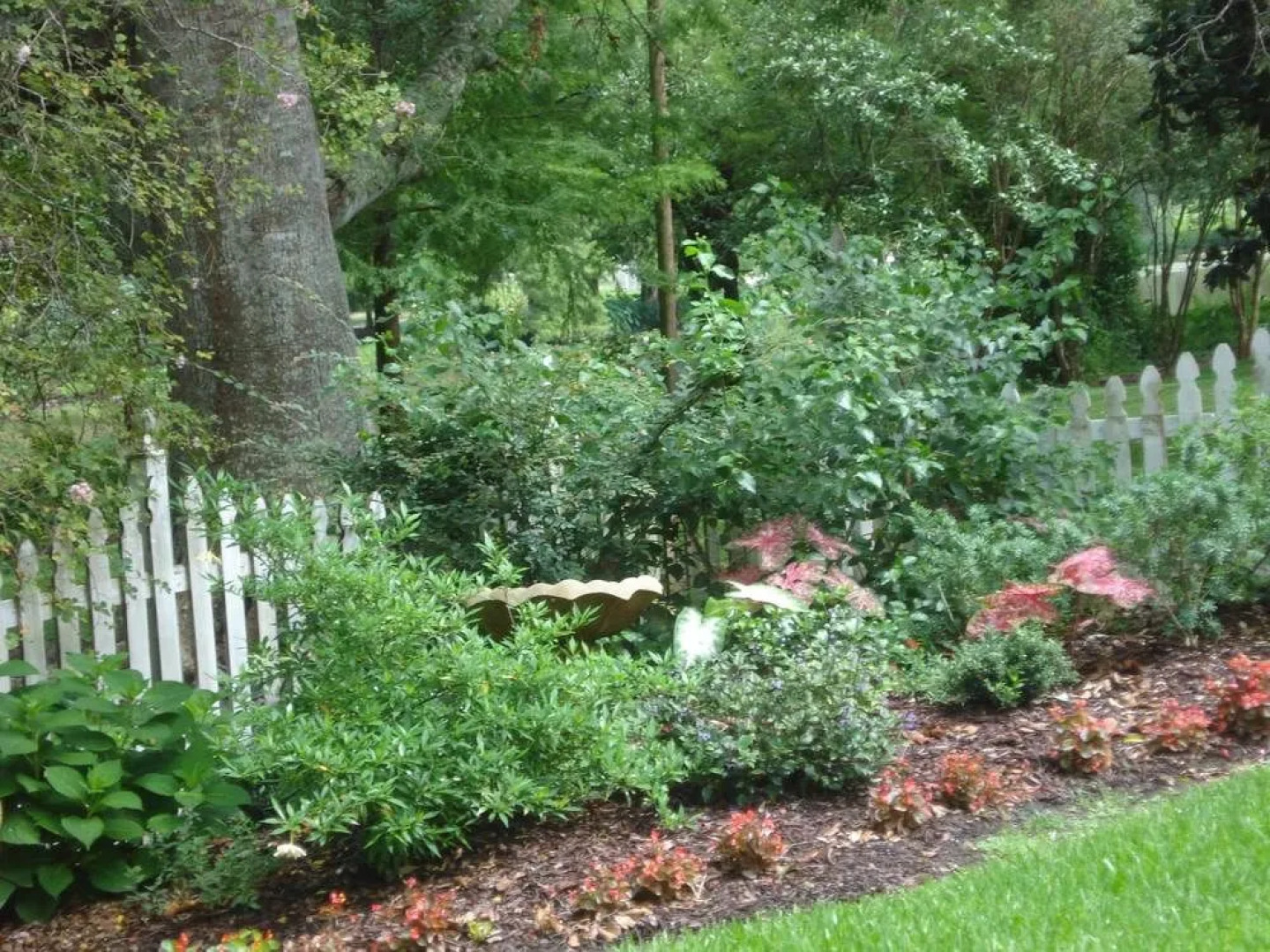 Old Castillo Bed and Breakfast