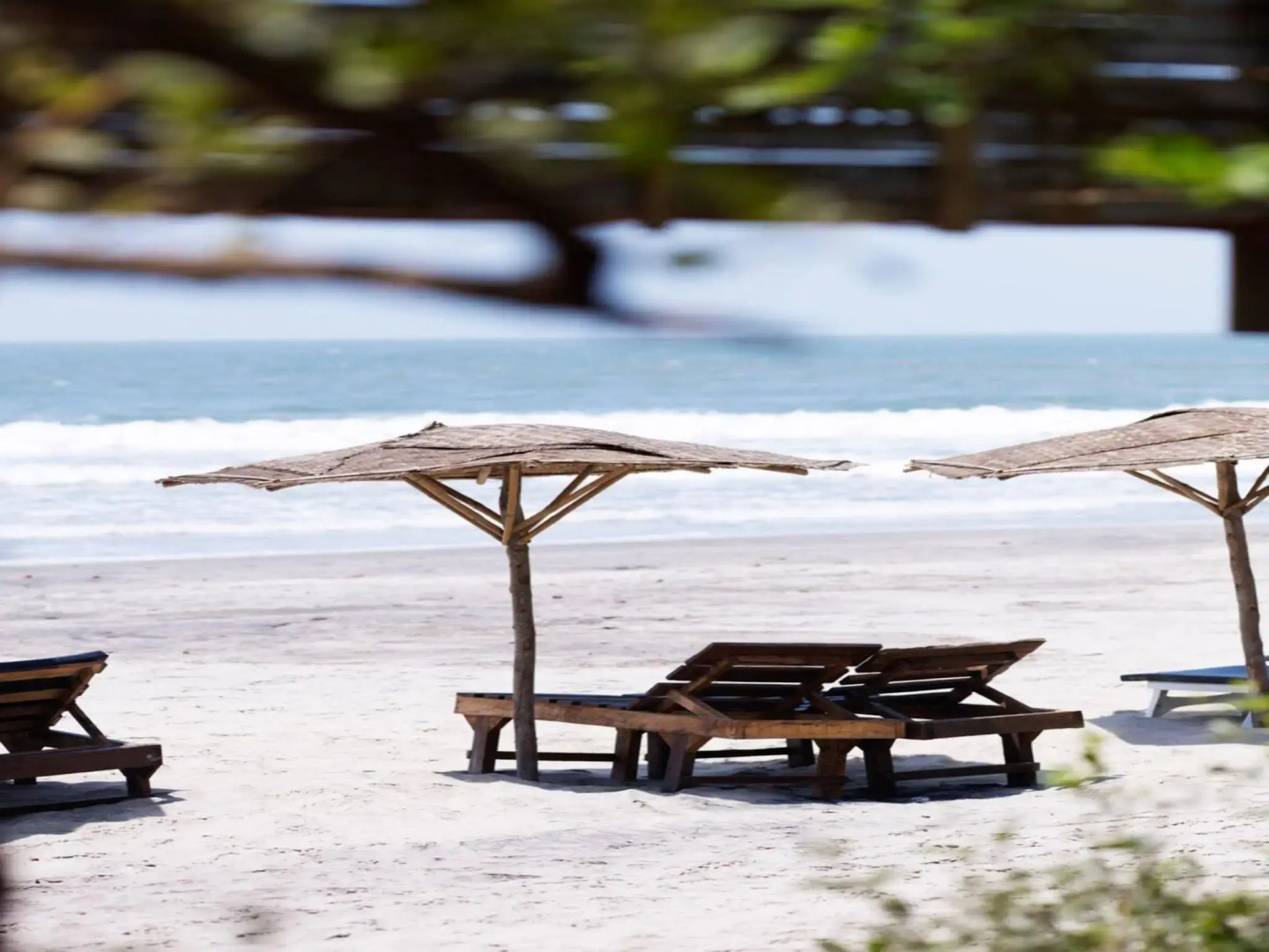 Palm Grove Beach Resort