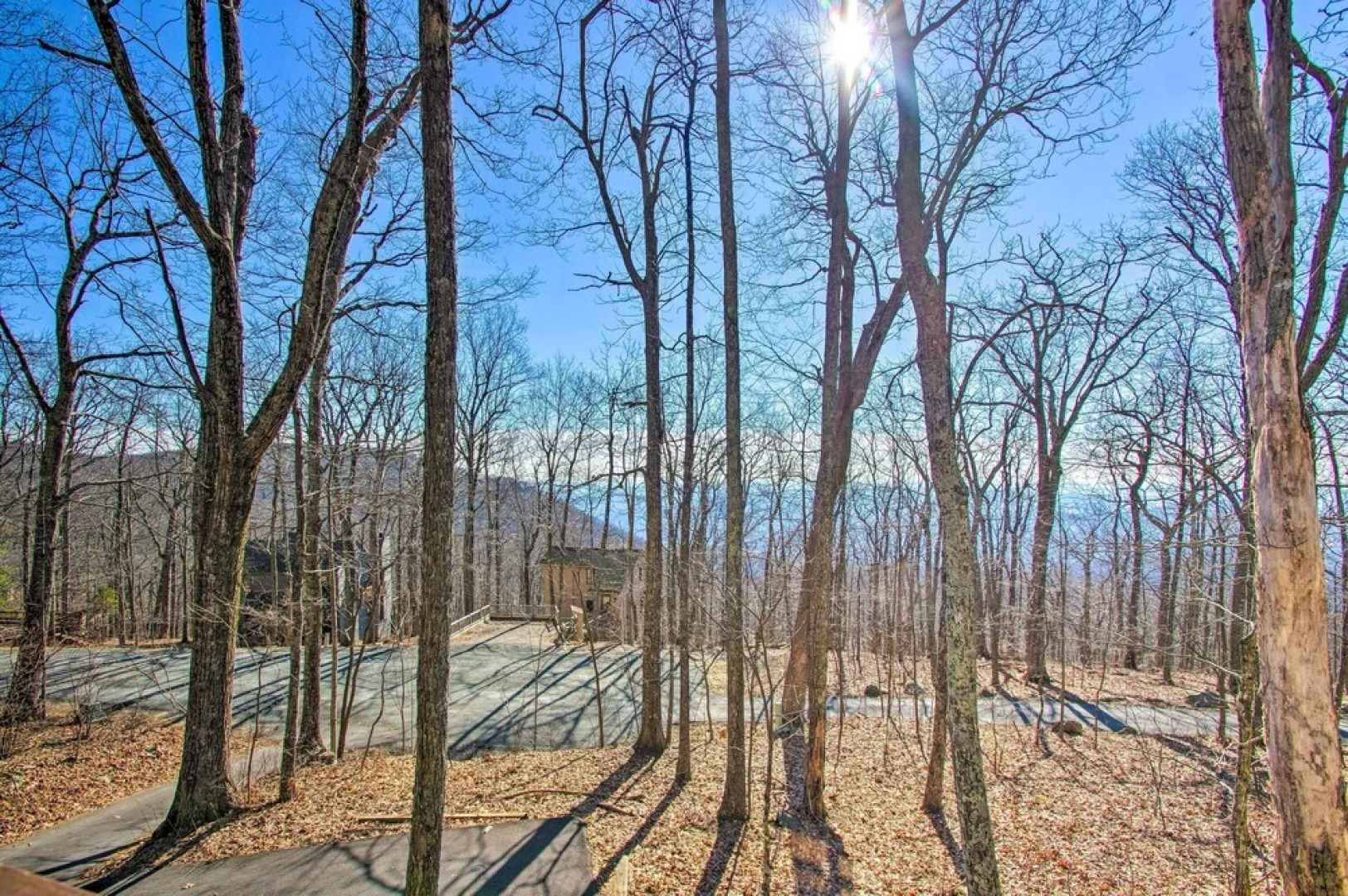 Wintergreen Resort Retreat - Walk to Slopes!