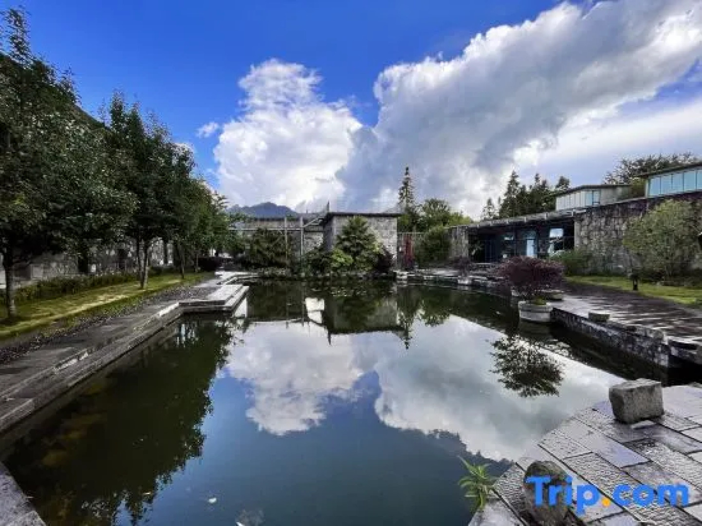 Yuanyang  Nuoma Amei Tea  Manor