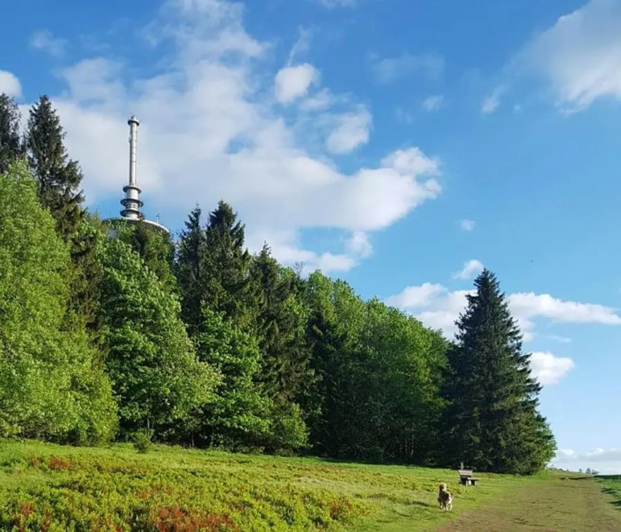 Lenzenhof anno 1720 I