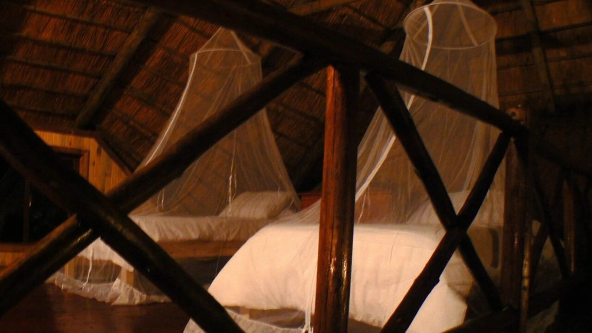 Lion Tree Bush Lodge