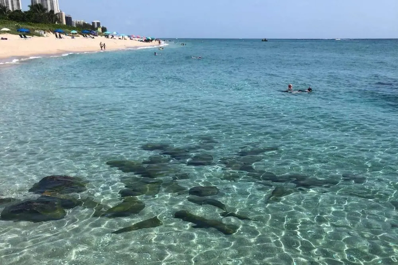 Harbourside by Singer Island Vacation Rentals