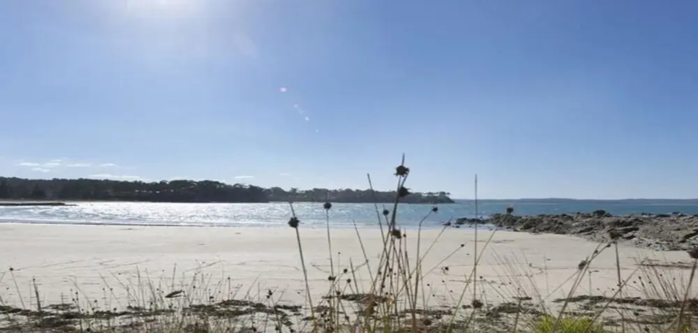 25 12-18 Newth Place Surf Beach