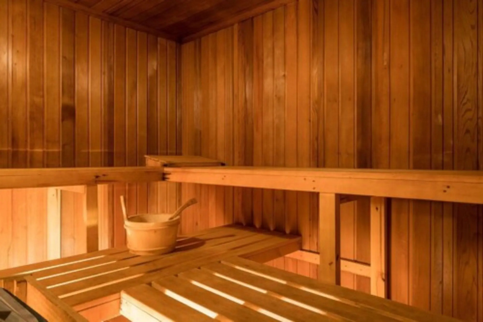 Hotel Le Palace des Neiges