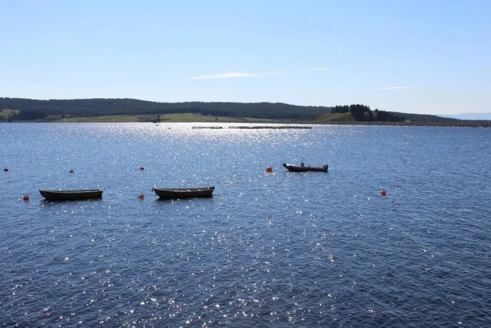 Bella Bell Tent @ Woody's