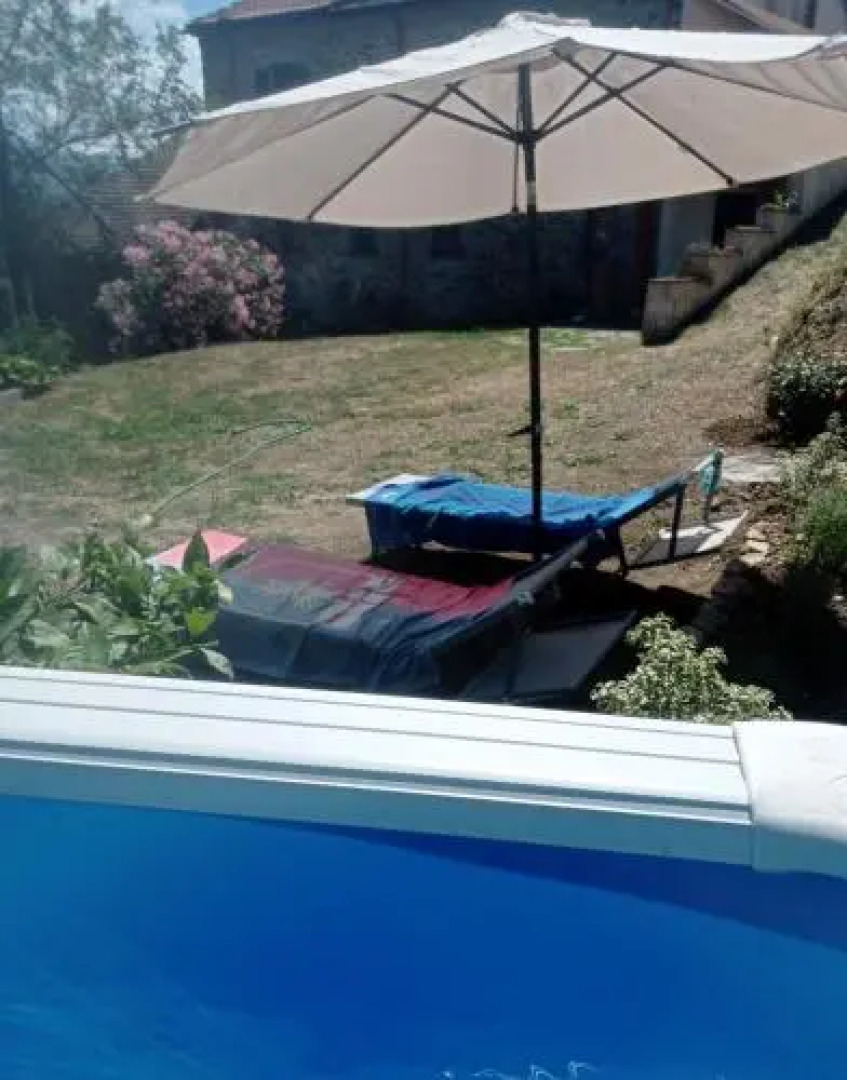 San Francesco E Il Lupo