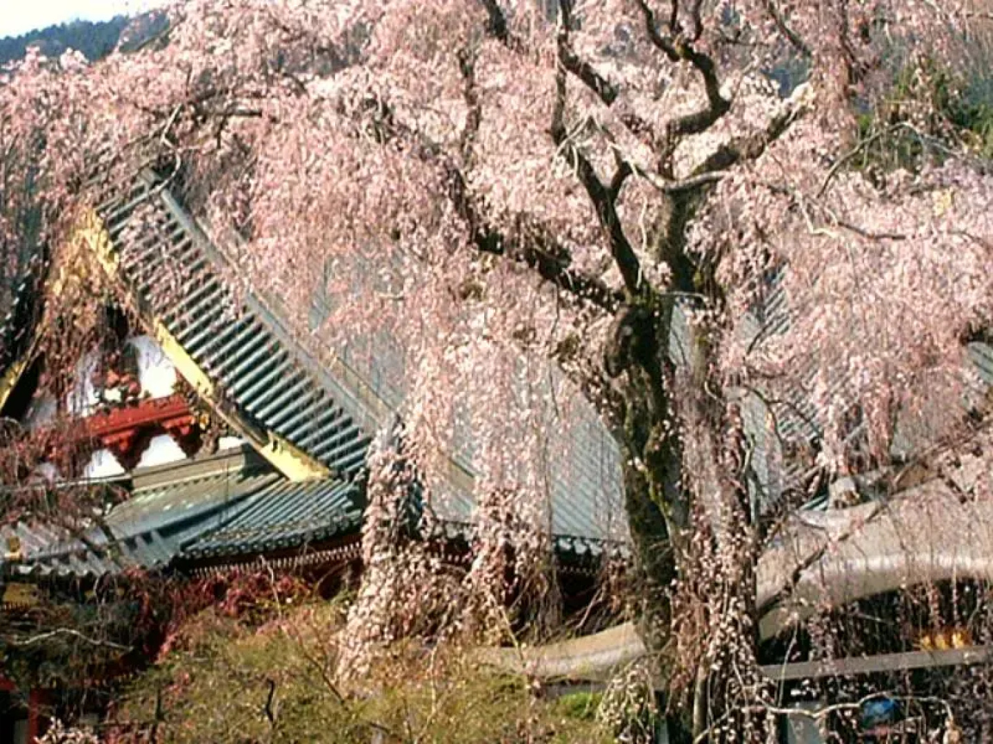 Ryokan Tanakaya