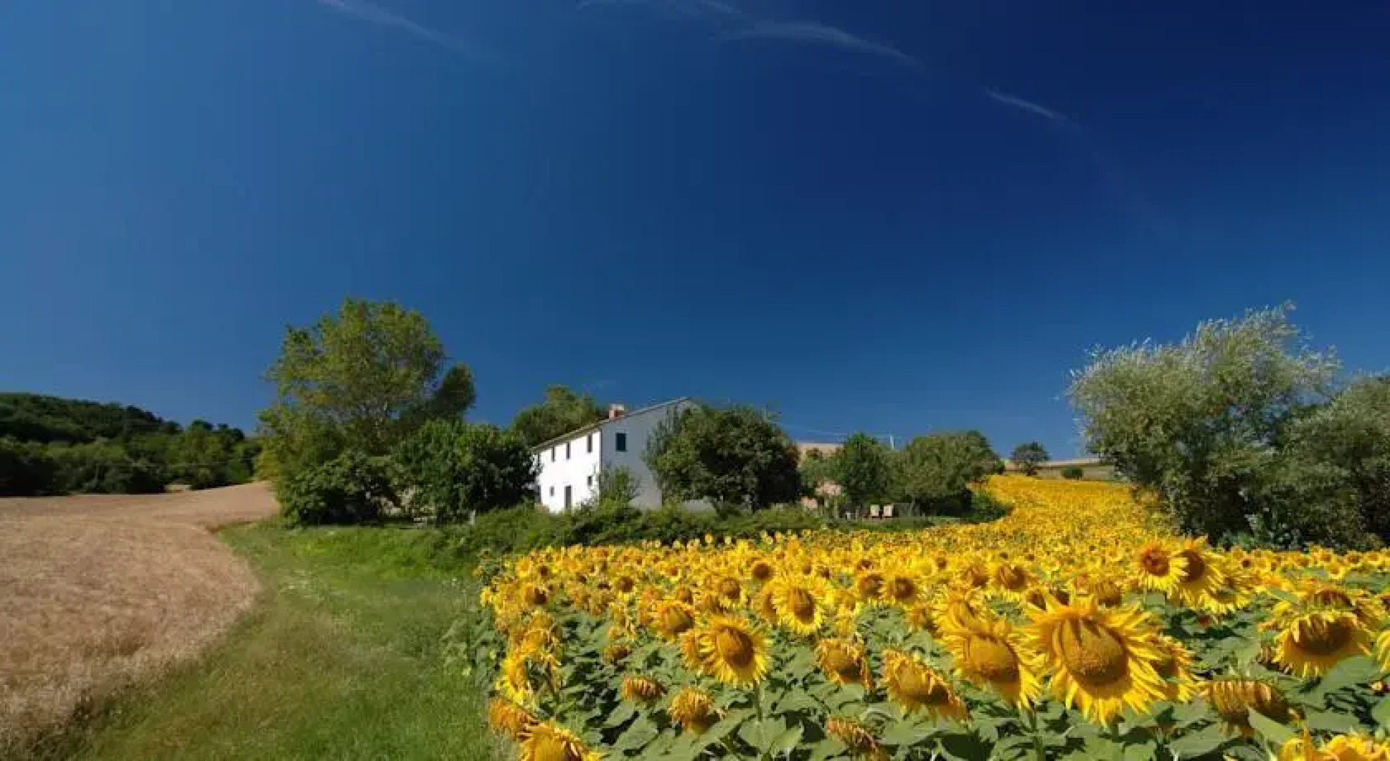 Bed & Breakfast Casa dei Colli