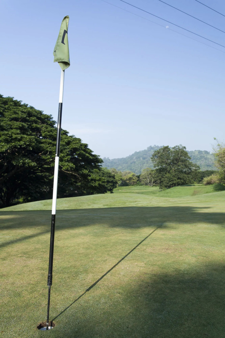 The Albatross, Kandy