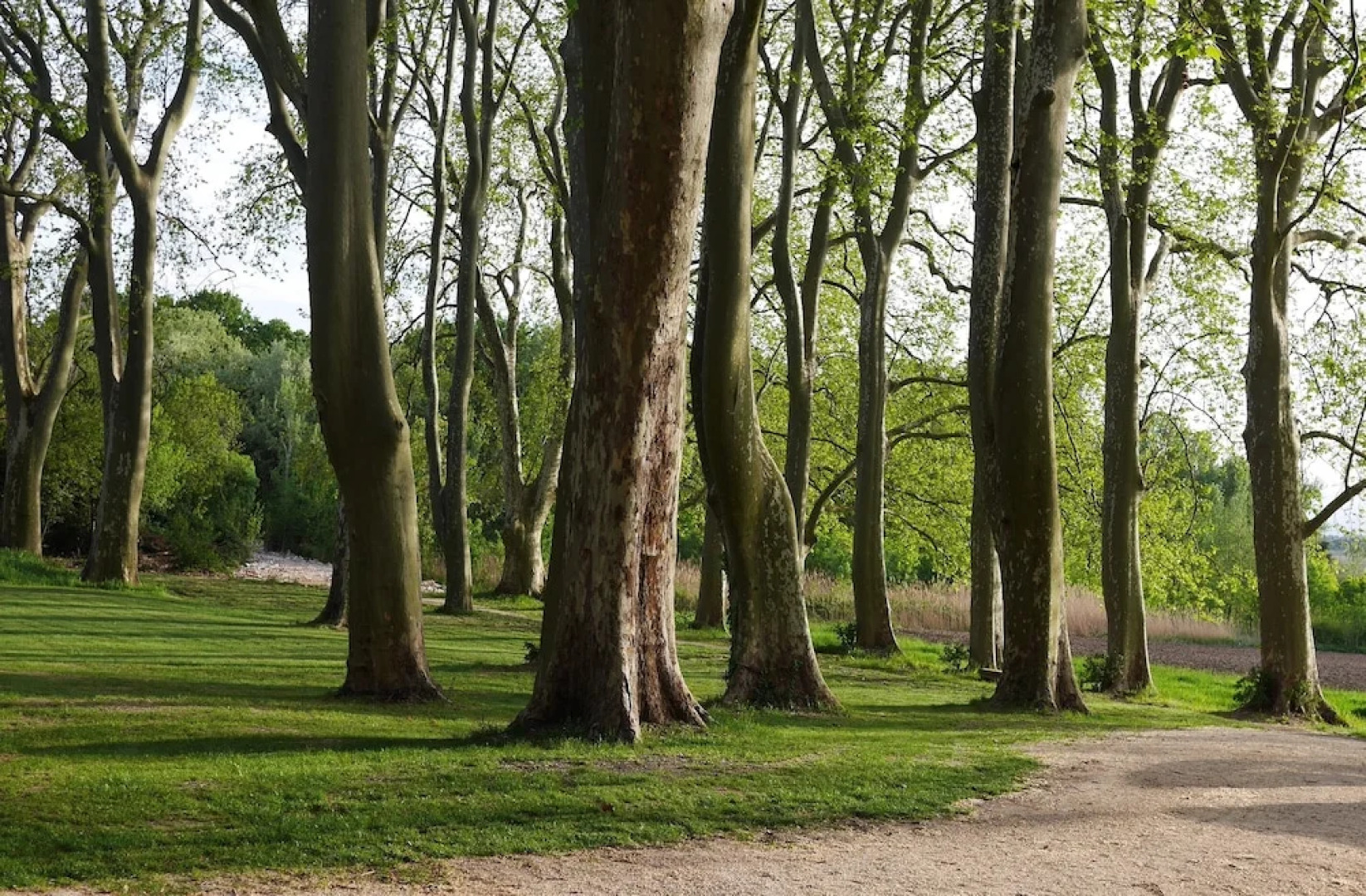 Fontclaire en Provence