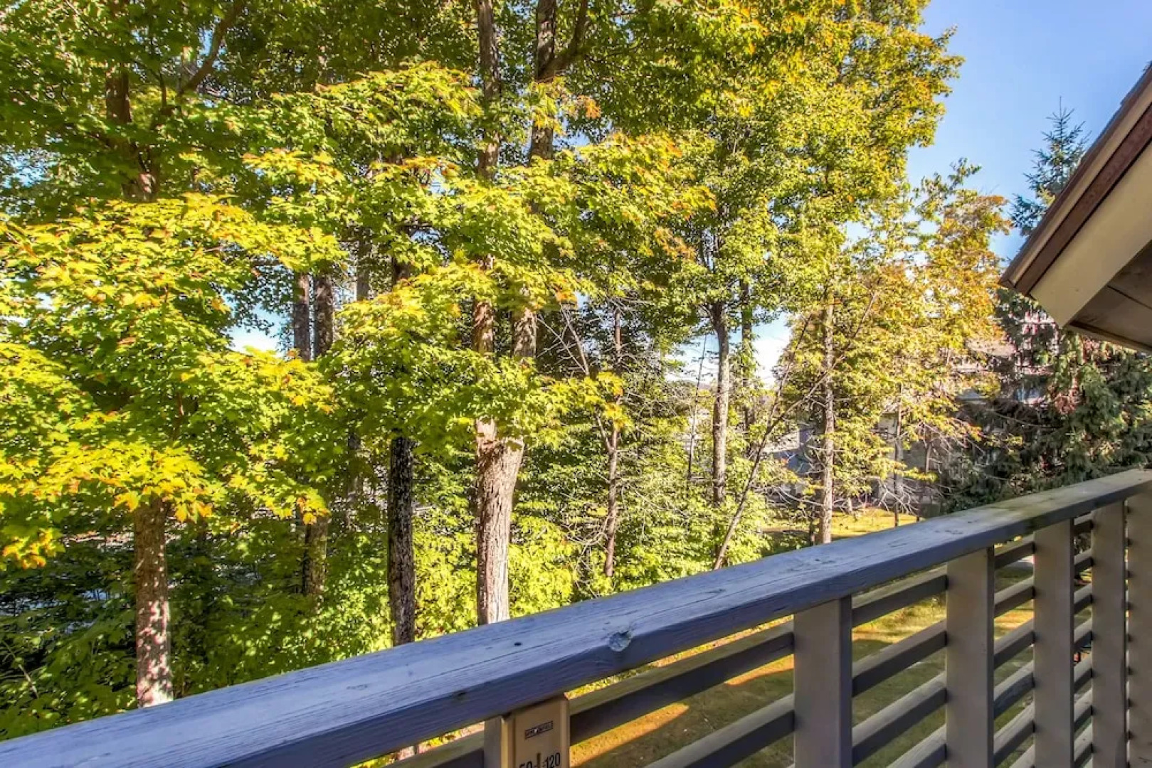 The Woods Resort And Spa