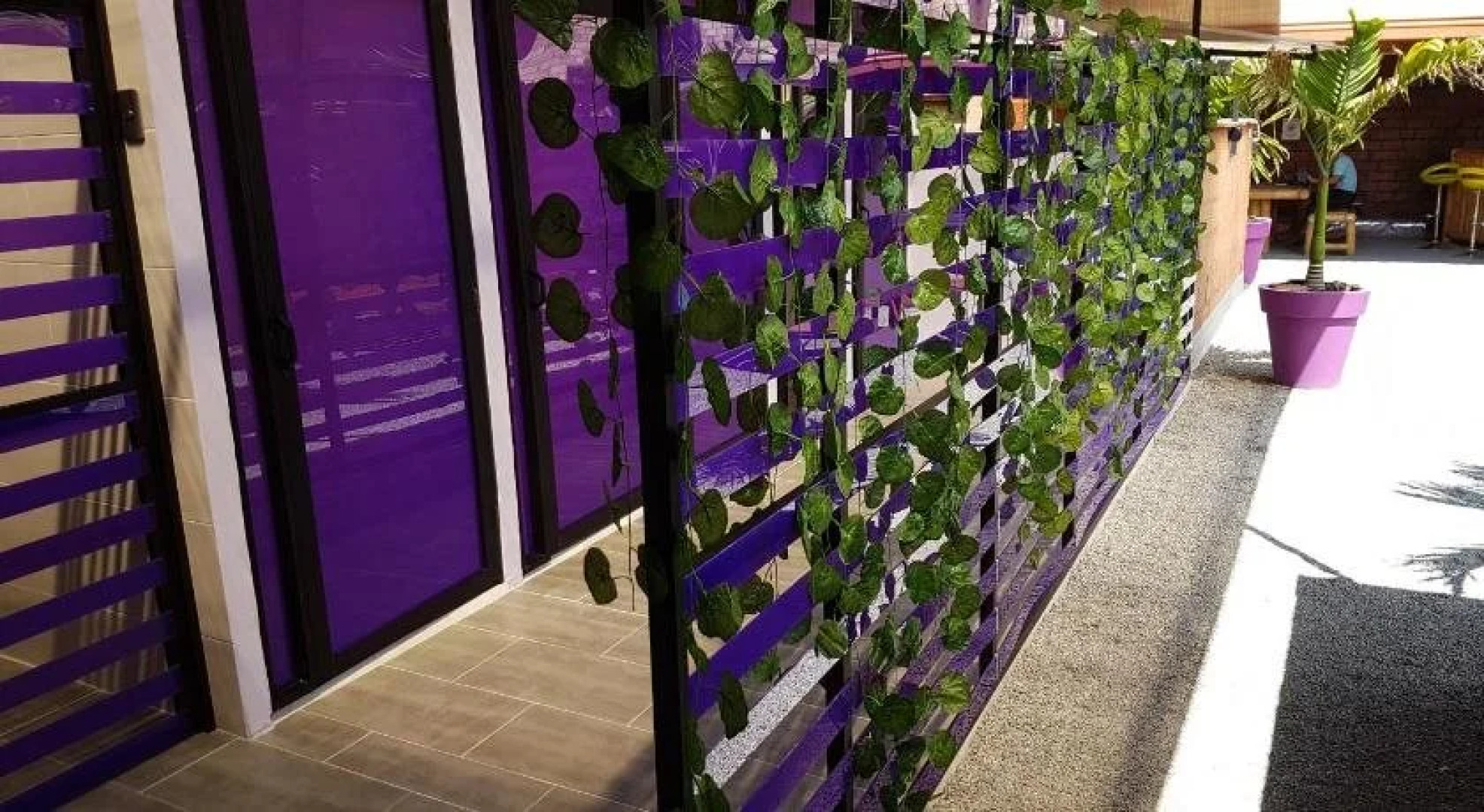 Purple Monkey Hostel