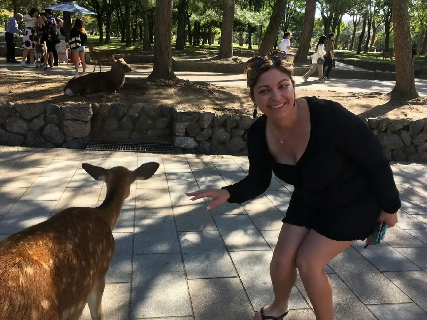 Abbey Road Inn Seika