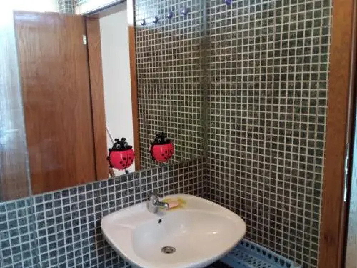 Sunny View Apartment