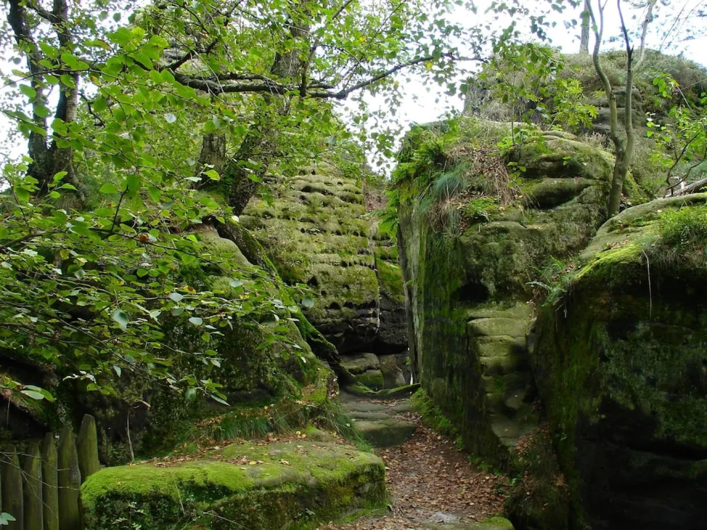 Wohnung in Weibig mit Garten