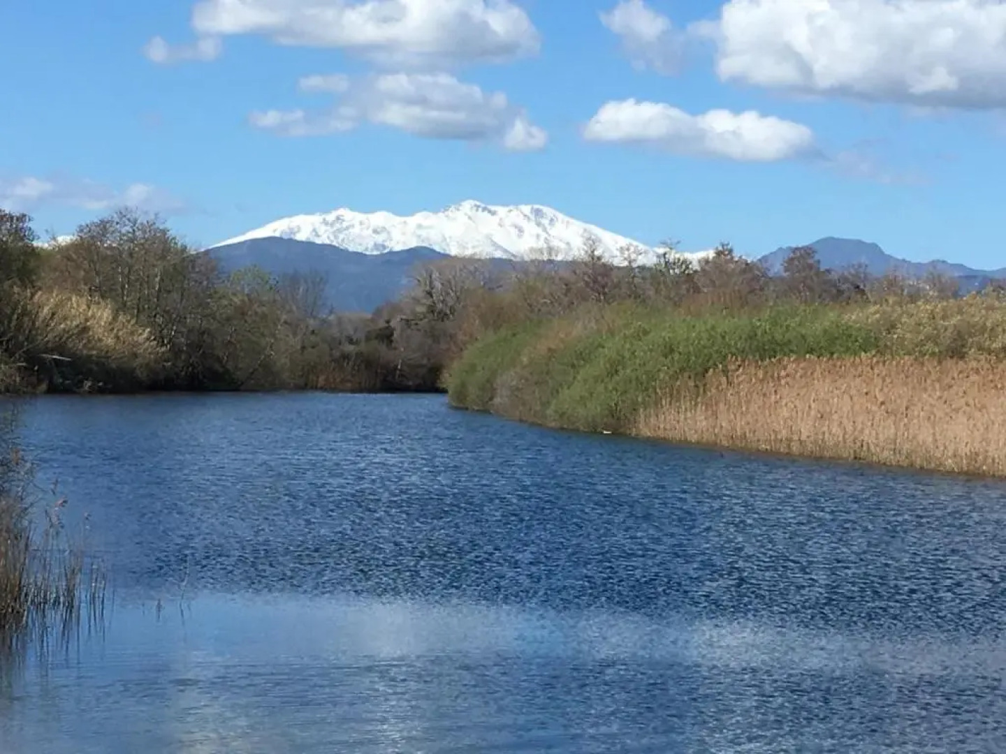 Le Clos des Arbousiers