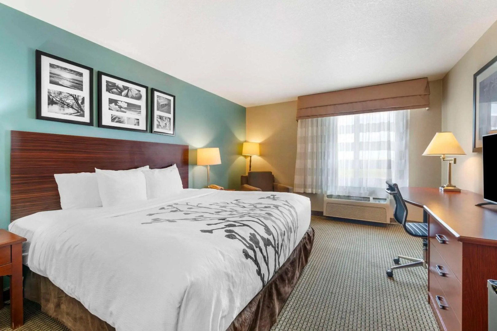 Sleep Inn And Suites Rapid City