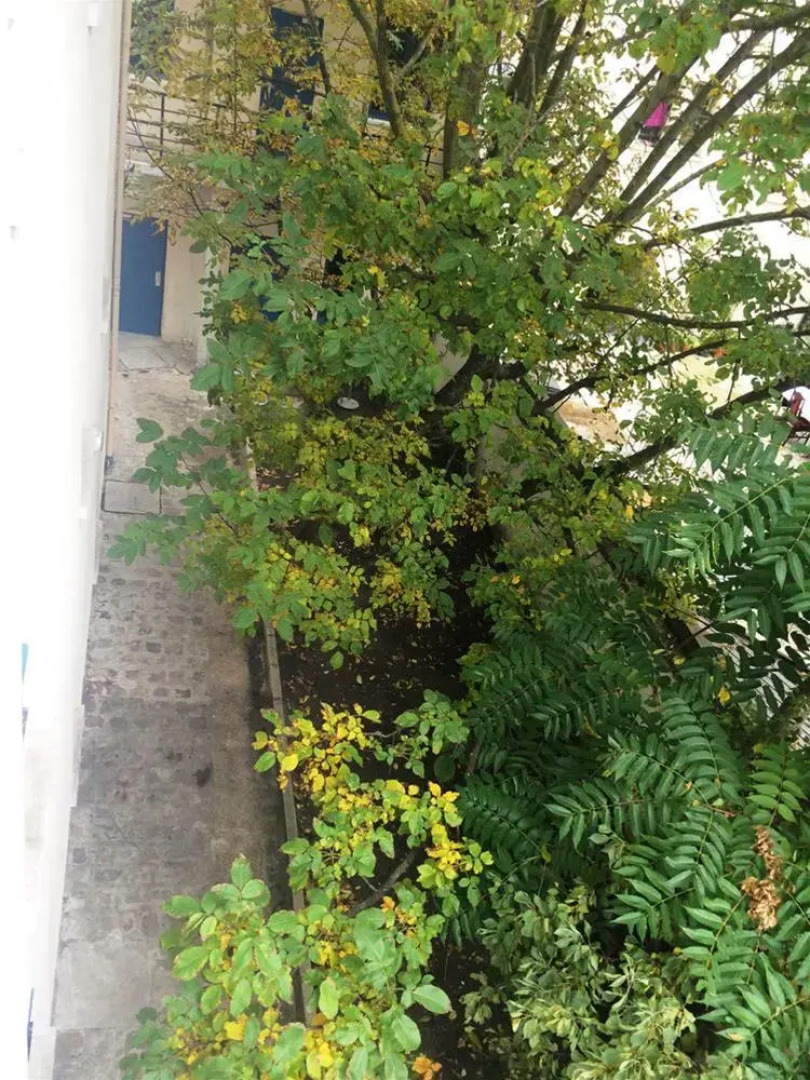 Hï¿½tel Des Fillettes