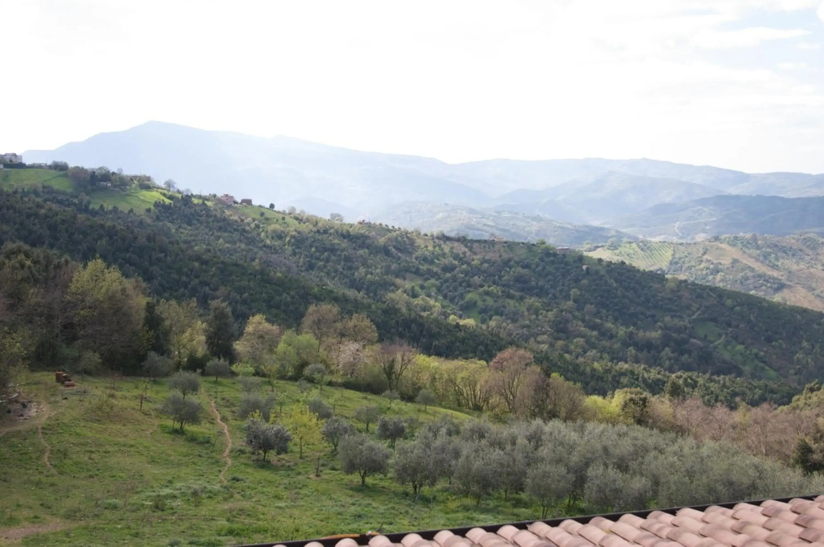 Azienda Agrituristica Salella