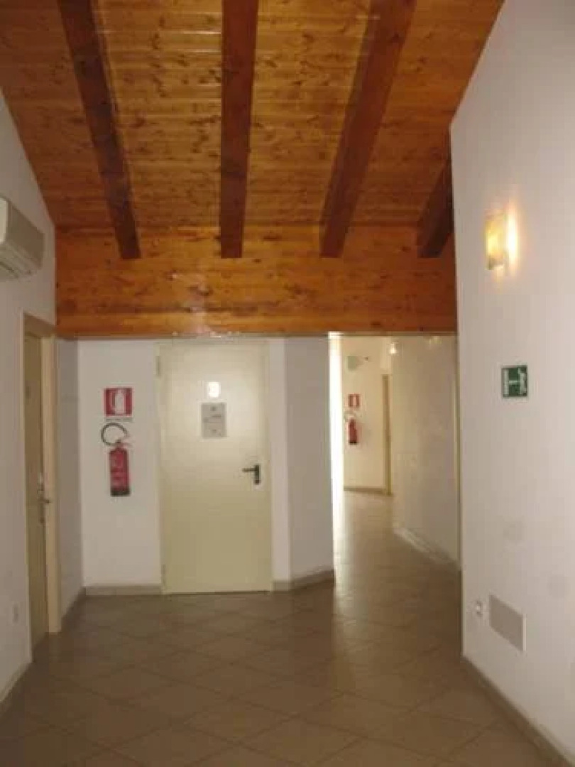 Hotel Grisù Collins