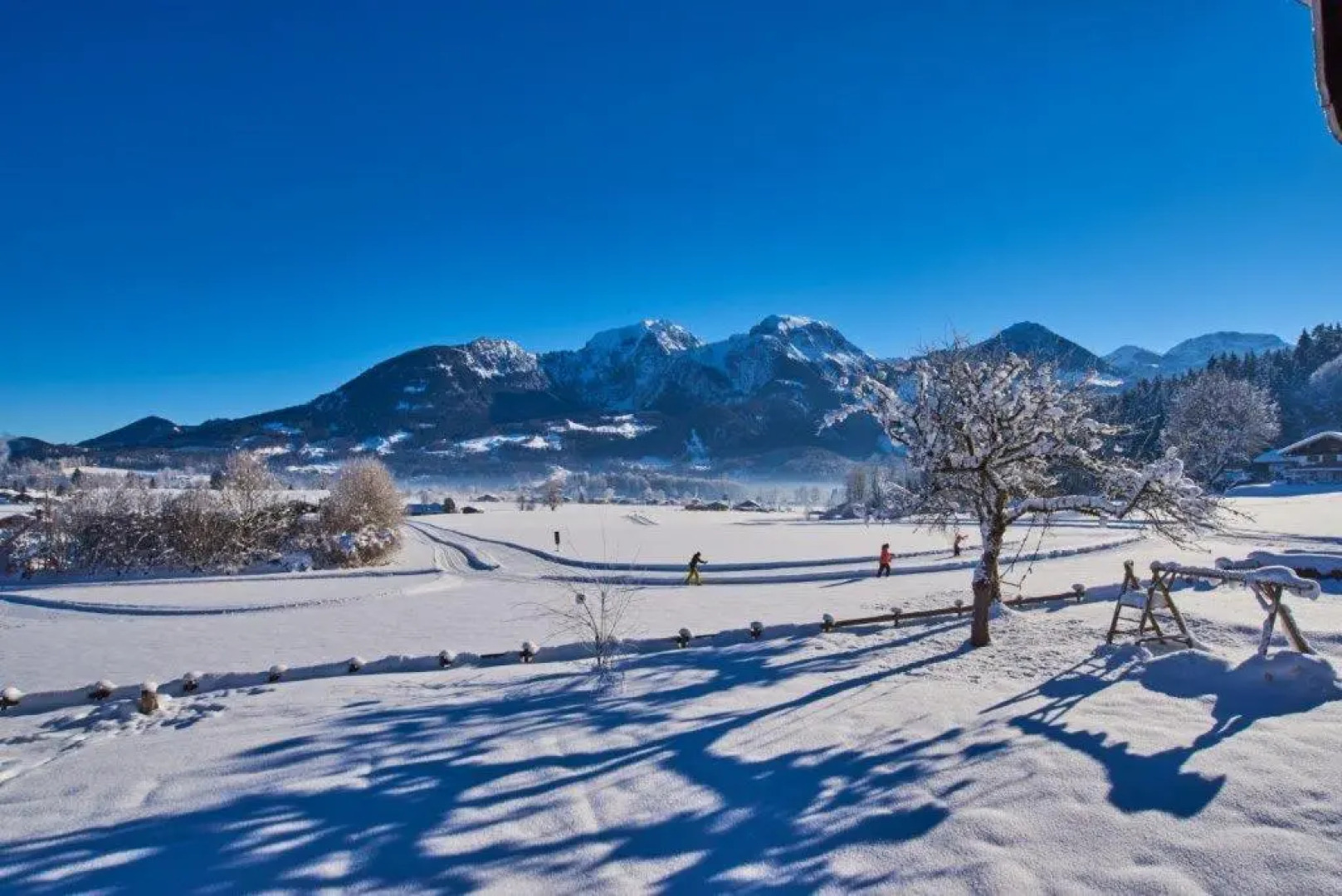 Ferienwohnungen Grünsteineck