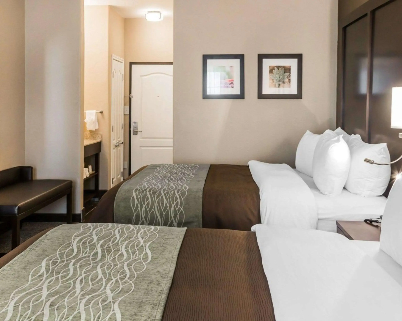 Comfort Inn & Suites Pharr - McAllen
